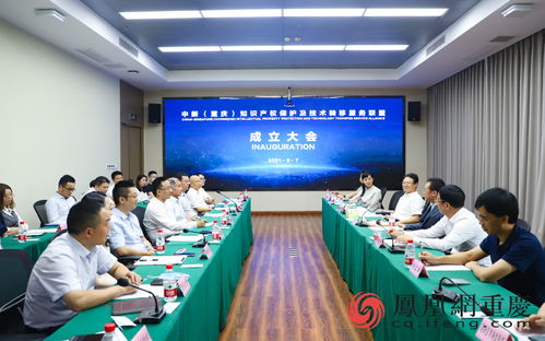 中新重慶知識產權保護及技術轉移服務聯(lián)盟成立，為兩地創(chuàng)新合作搭建新通道