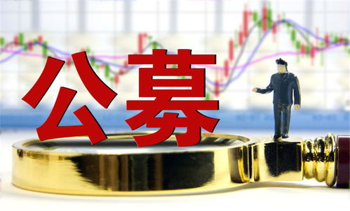 認(rèn)購(gòu)資金超300億 首批reits遭瘋搶 配售比例低至1.5 機(jī)構(gòu)提示風(fēng)險(xiǎn)